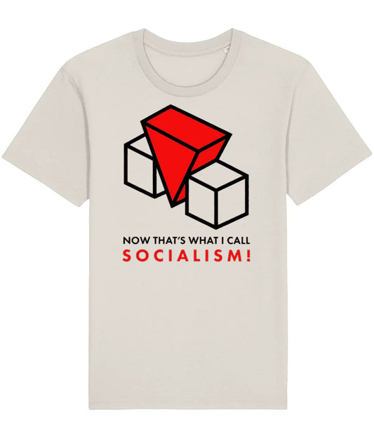 SOCIALISM!: T-Shirt As Worn by Billy Bragg for Red Wedge (3 Colours) Small to 4XL - SOUND IS COLOUR